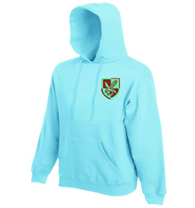 16 Air Assault Brigade Hoodies